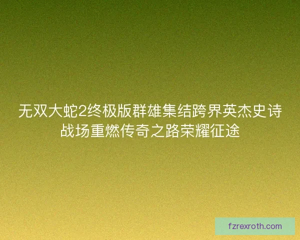 无双大蛇2终极版群雄集结跨界英杰史诗战场重燃传奇之路荣耀征途